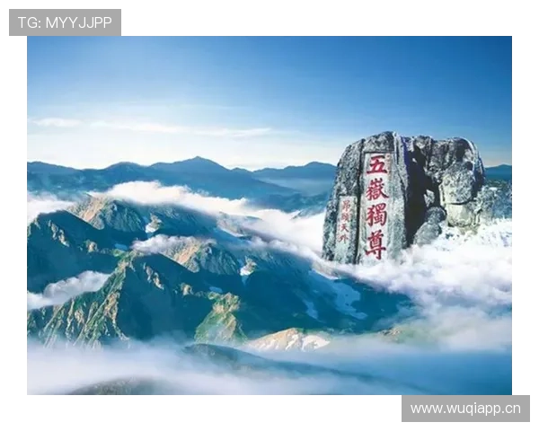 山东泰山豪门地位稳固性:当前阶段面临挑战与表现波动影响 山东泰山豪门地位稳固性:当前阶段面临挑战与表现波动影响